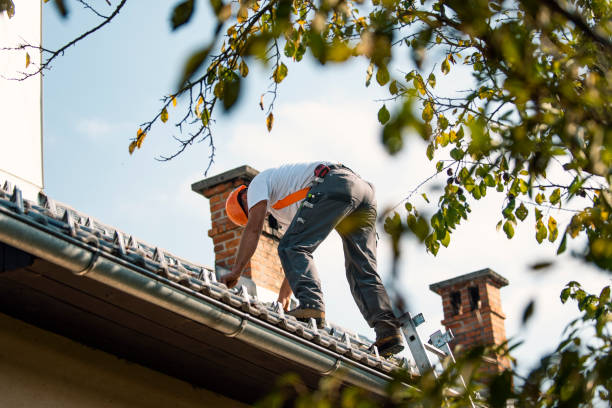 Best Roof Gutter Cleaning  in Waterloo, IA