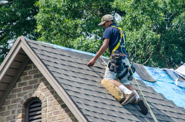 Best Shingle Roofing Installation  in Waterloo, IA