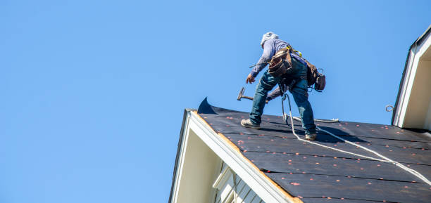 Best Roof Waterproofing Services  in Waterloo, IA